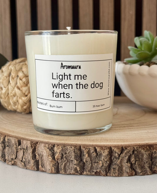 Light me when the dog farts candle